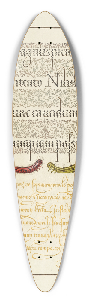 Joris Hoefnagel - Caterpillars 39.3 inch art pintail longboard deck Joris Hoefnagel - Caterpillars 39.3 inch art pintail longboard deck