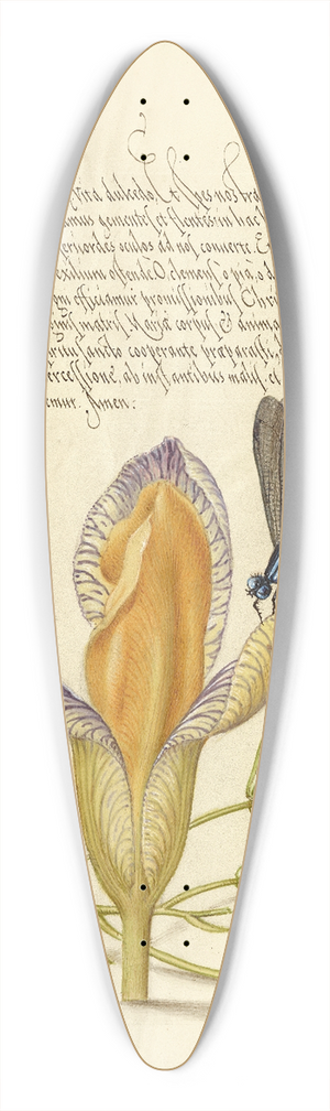 Joris Hoefnagel - Damselflies, Spanish Iris, and Star-of-Bethlehem 39.3 inch art pintail longboard deck