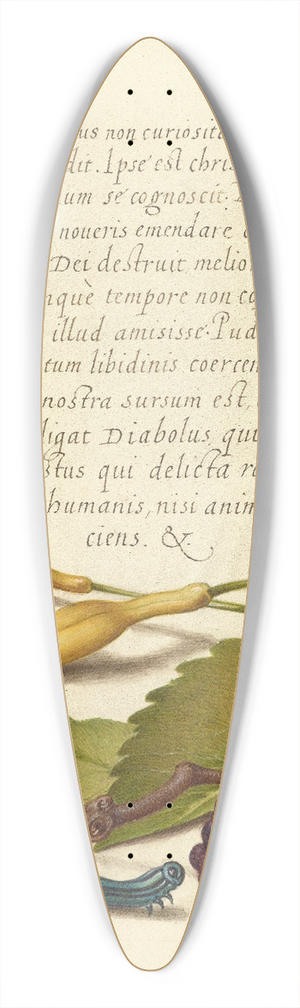 Joris Hoefnagel - Hyacinth, Black Mulberry, and Caterpillar 39.3 inch art pintail longboard deck Joris Hoefnagel - Hyacinth, Black Mulberry, and Caterpillar 39.3 inch art pintail longboard deck