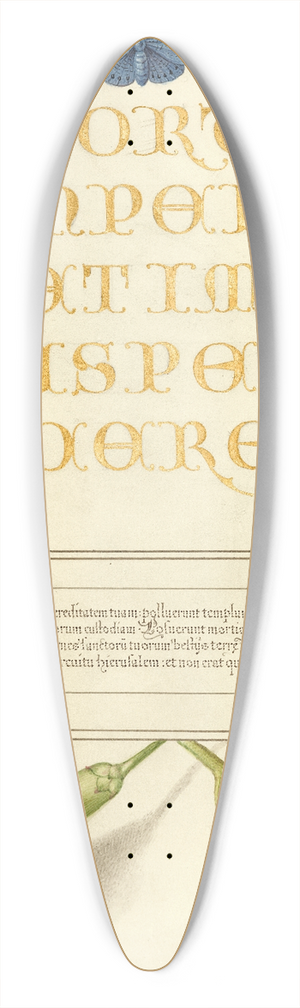 Joris Hoefnagel - Insects, Carnation, and Judas Tree 39.3 inch art pintail longboard deck Joris Hoefnagel - Insects, Carnation, and Judas Tree 39.3 inch art pintail longboard deck