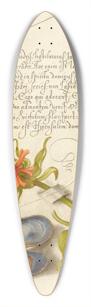 Joris Hoefnagel - Maltese Cross, Mussel, and Ladybird 39.3 inch art pintail longboard deck