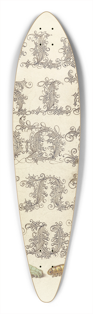 Joris Hoefnagel - Potter Wasp, Hover Fly, and Caterpillars 39.3 inch art pintail longboard deck