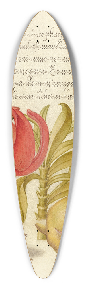 Joris Hoefnagel - Scarlet Turks Cap, Rhinoceros Beetle, and Pomegranate 39.3 inch art pintail longboard deck