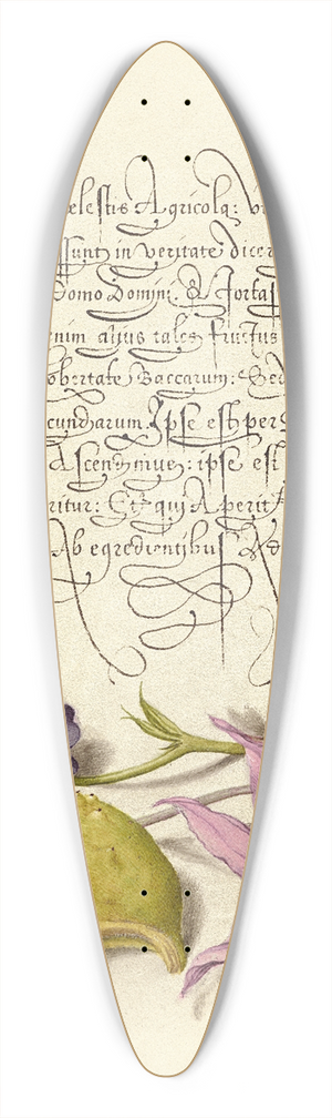 Joris Hoefnagel - Sweet Violet, Gourd, and Dog-Tooth Violet 39.3 inch art pintail longboard deck