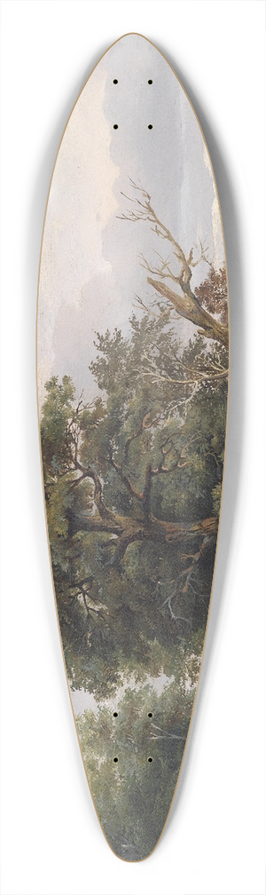 Josef Feid - Angler am Fluss 39.3 inch art pintail longboard deck