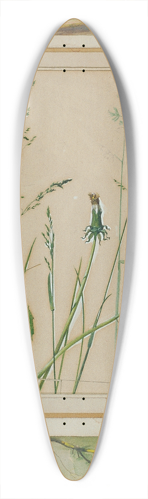 Josef Wawra - Studien nach der Natur 39.3 inch art pintail longboard deck
