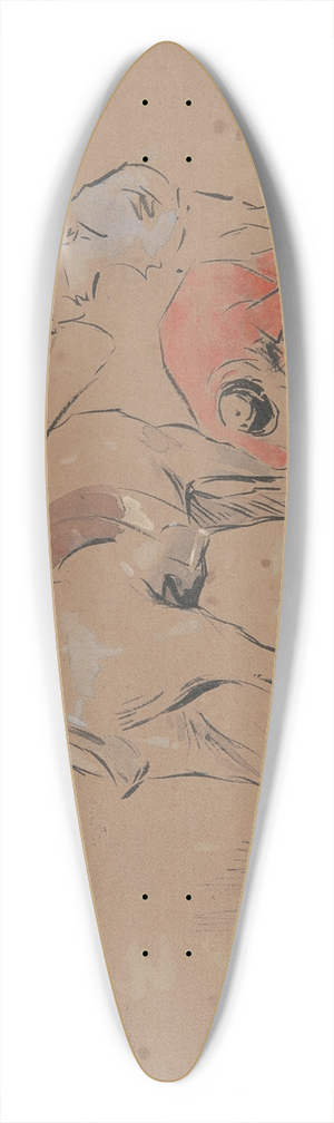 Joseph Crawhall - The Loose Shoe 39.3 inch art pintail longboard deck