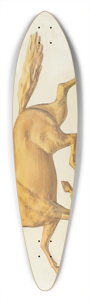 Joseph Goldberg - Weather Vane 39.3 inch art pintail longboard deck