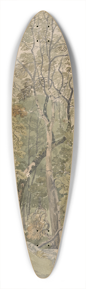 Joseph Powell - In Rydal Park 39.3 inch art pintail longboard deck