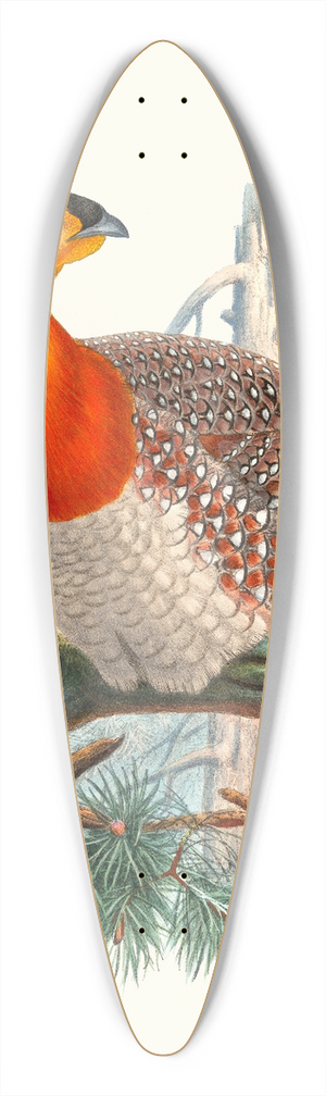 Joseph Smit - Ceriornis Blythii. 39.3 inch art pintail longboard deck