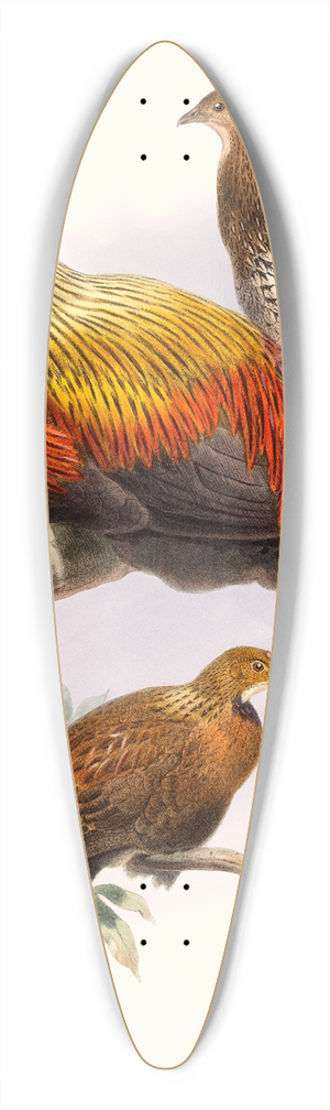 Joseph Smit - Gallus La-Fayettei. 39.3 inch art pintail longboard deck