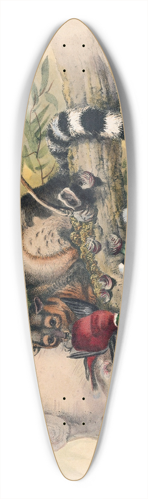 Joseph Wolf - The Bassaris 39.3 inch art pintail longboard deck