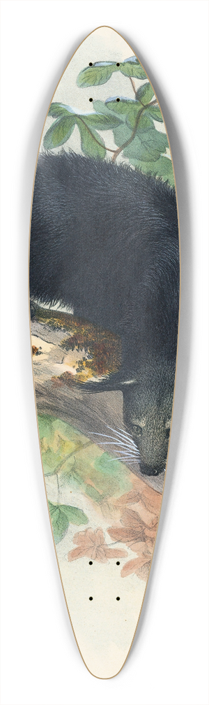 Joseph Wolf - The Binturong 39.3 inch art pintail longboard deck