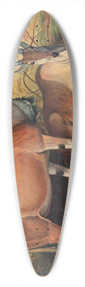 Joseph Wolf - The Eland 39.3 inch art pintail longboard deck