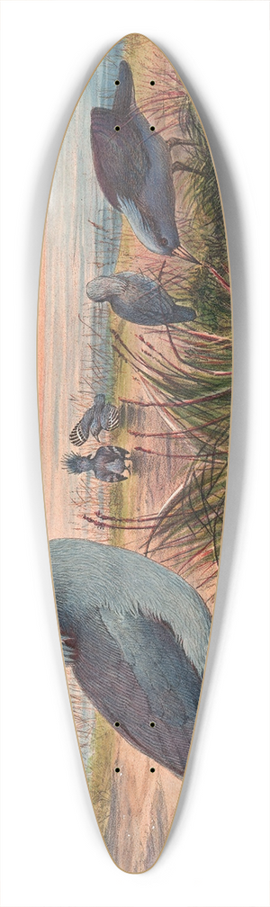 Joseph Wolf - The Kagu 39.3 inch art pintail longboard deck