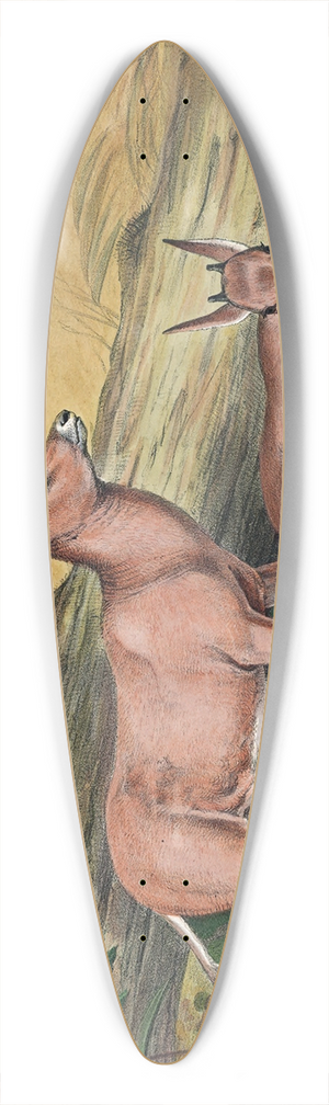 Joseph Wolf - The Leucoryx 39.3 inch art pintail longboard deck