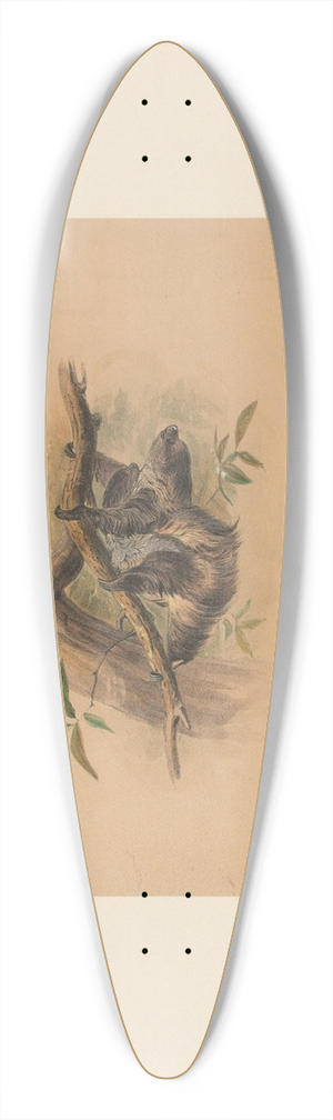 Joseph Wolf - The Three-toed Sloth 39.3 inch art pintail longboard deck