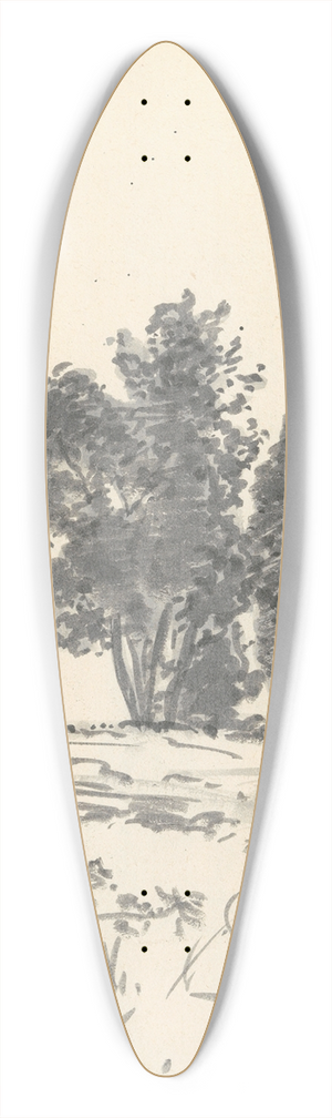 Joseph Wright of Derby - Trees, Bushes and Vegetation 39.3 inch art pintail longboard deck