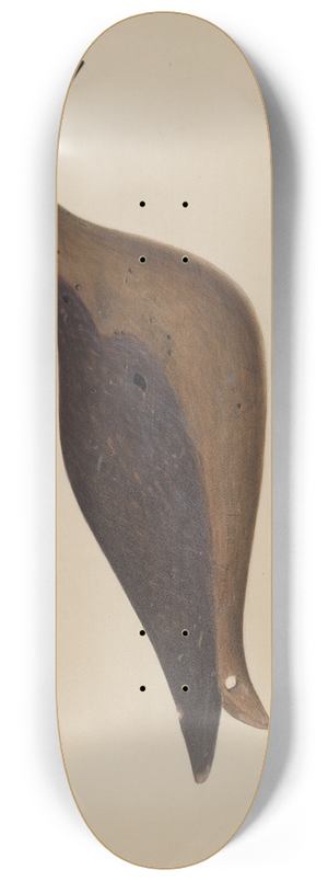 Chris Makrenos - Decoy 8.25 inch art skate deck