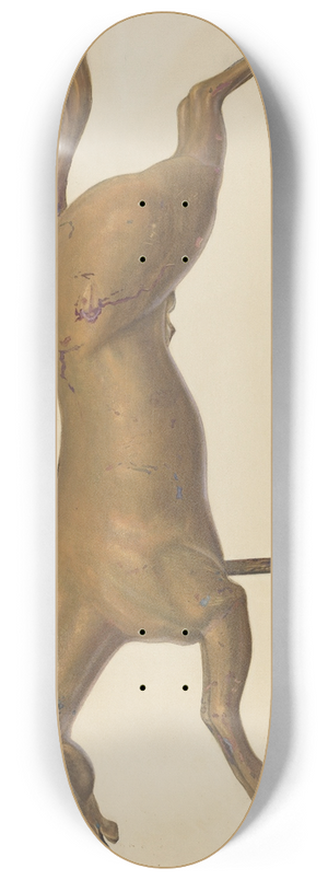 Chris Makrenos - Galloping Horse Weather Vane 8.25 inch art skate deck