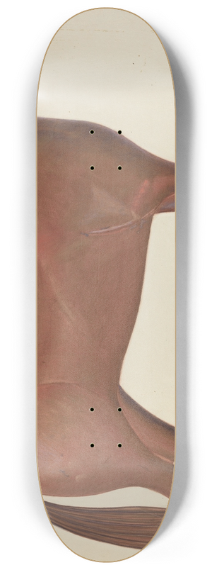 Chris Makrenos - Horse Weather Vane 8.25 inch art skate deck