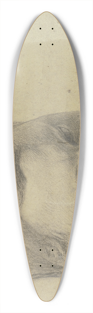 Julius Hamel - Girls head. 39.3 inch art pintail longboard deck