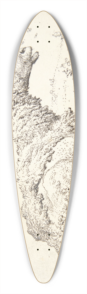 Karel Dujardin - Fret og fluerne 39.3 inch art pintail longboard deck