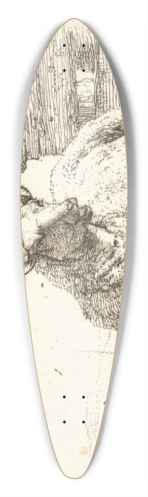 Karel Dujardin - Liggende fr nr et trgrde 39.3 inch art pintail longboard deck