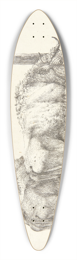 Karel Dujardin - To okser 39.3 inch art pintail longboard deck