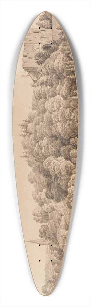 Karl Anton Schulz - Vaade Tartule Kassitoomelt 39.3 inch art pintail longboard deck