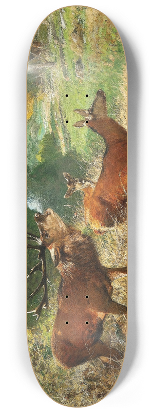 Christian Krner - Red Deer in a Forest Glade 8.25 inch art skate deck