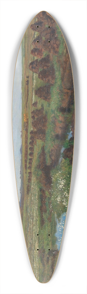 Kitty Kielland - Peat Bog at Jren 39.3 inch art pintail longboard deck