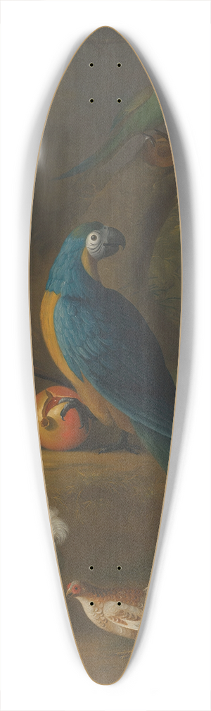 Leonard Hbner - A macaw and other birds in a landscape 39.3 inch art pintail longboard deck
