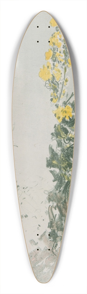 Leon Wyczkowski - Dziewanny 39.3 inch art pintail longboard deck