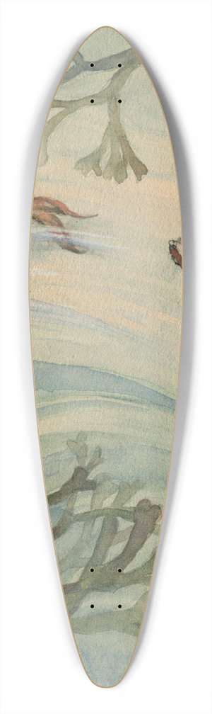 Lilly Walther - Ehissr kaladega 39.3 inch art pintail longboard deck