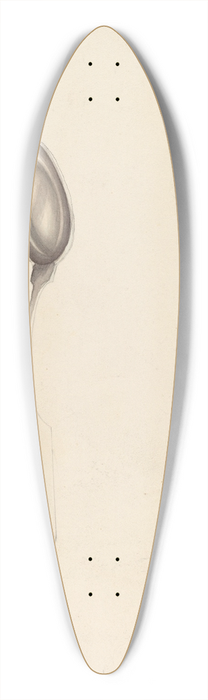 Lon Cronk - Spoon 39.3 inch art pintail longboard deck