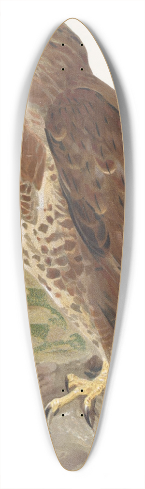 Lo-Paul Robert - Buse 39.3 inch art pintail longboard deck