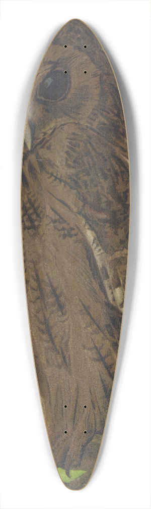 Lo-Paul Robert - Chat-Huant 39.3 inch art pintail longboard deck Lo-Paul Robert - Chat-Huant 39.3 inch art pintail longboard deck