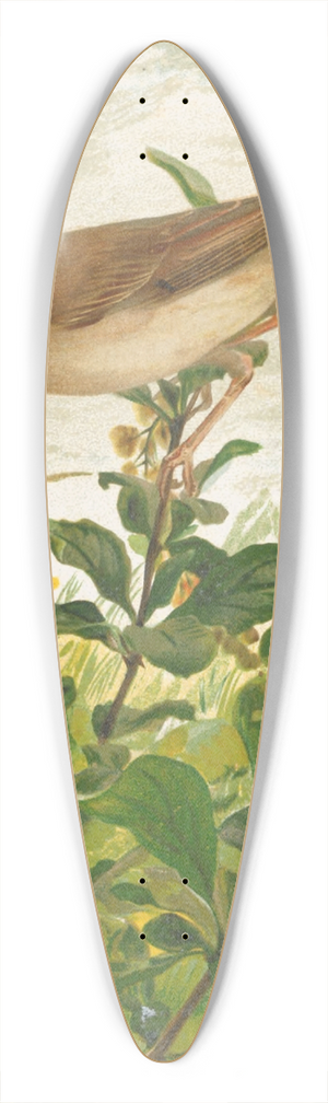 Lo-Paul Robert - Fauvette Grisette 39.3 inch art pintail longboard deck