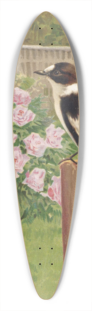 Lo-Paul Robert - Gobe-Mouches a Collier 39.3 inch art pintail longboard deck Lo-Paul Robert - Gobe-Mouches a Collier 39.3 inch art pintail longboard deck