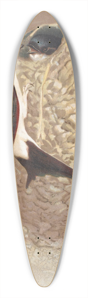 Lo-Paul Robert - Hirondelle de Fentre 39.3 inch art pintail longboard deck