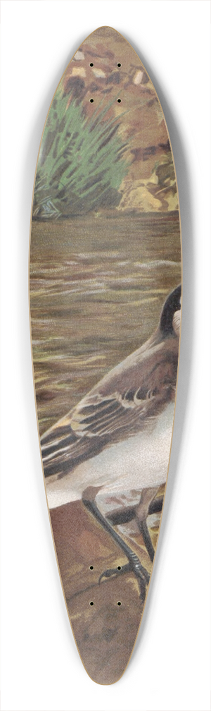 Lo-Paul Robert - Lavandire Grise 39.3 inch art pintail longboard deck