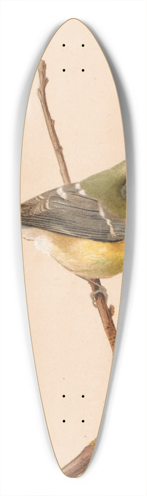Lo-Paul Robert - Msange Bleue 39.3 inch art pintail longboard deck Lo-Paul Robert - Msange Bleue 39.3 inch art pintail longboard deck