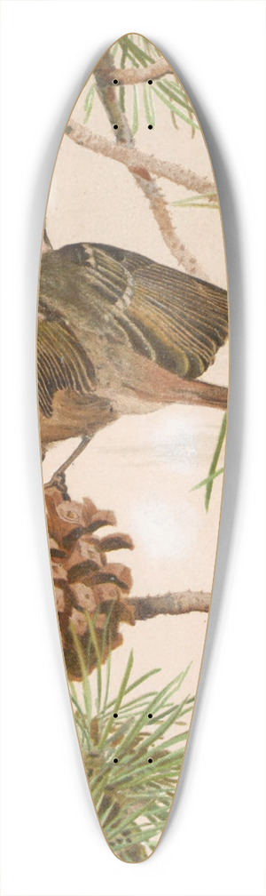 Lo-Paul Robert - Msange Noire 39.3 inch art pintail longboard deck