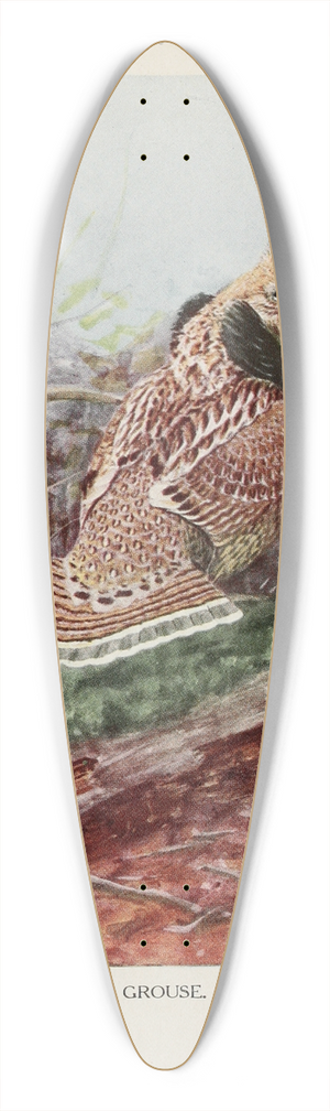 Louis Agassiz Fuertes - Strutter the Ruffed Grouse 39.3 inch art pintail longboard deck