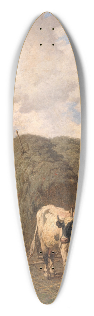 Louis Robbe - Haycart 39.3 inch art pintail longboard deck Louis Robbe - Haycart 39.3 inch art pintail longboard deck