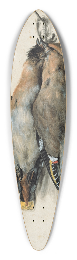 Lucas Cranach the Elder - Two Dead Bohemian Waxwings 39.3 inch art pintail longboard deck