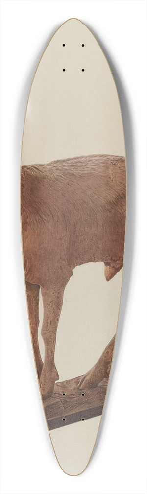 Lucille Chabot - Cast Iron Goat 39.3 inch art pintail longboard deck