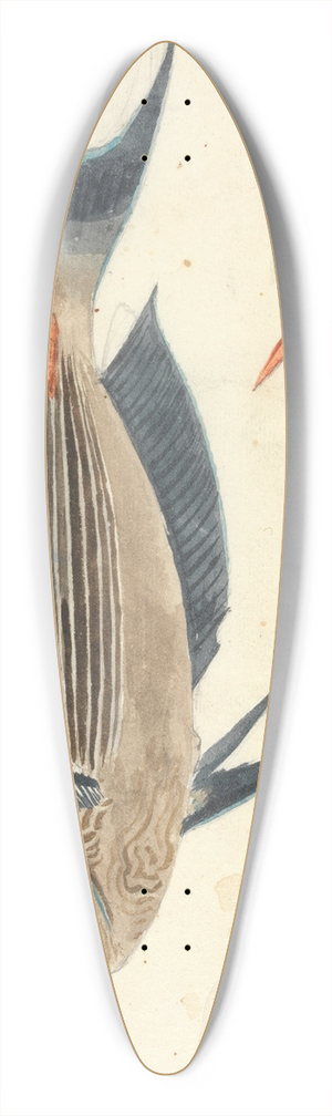 Luigi Balugani - A Fish 39.3 inch art pintail longboard deck