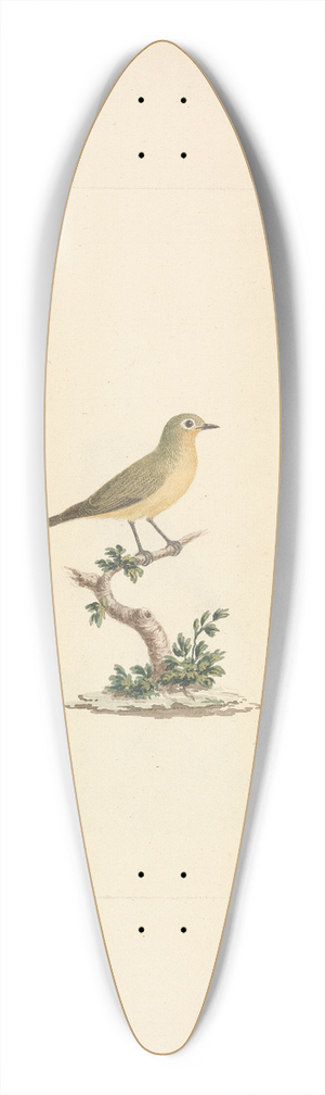 Luigi Balugani - Unidentified Bird 39.3 inch art pintail longboard deck